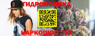стафф Гай
