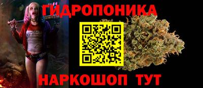 стафф Гай