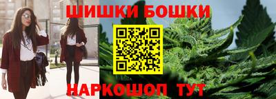 стафф Гай