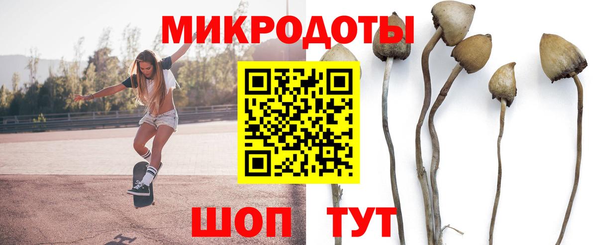 Галлюциногенные грибы ЛСД  Галлюциногенные грибы прущие грибы  Вход с VPN  Вольск 
